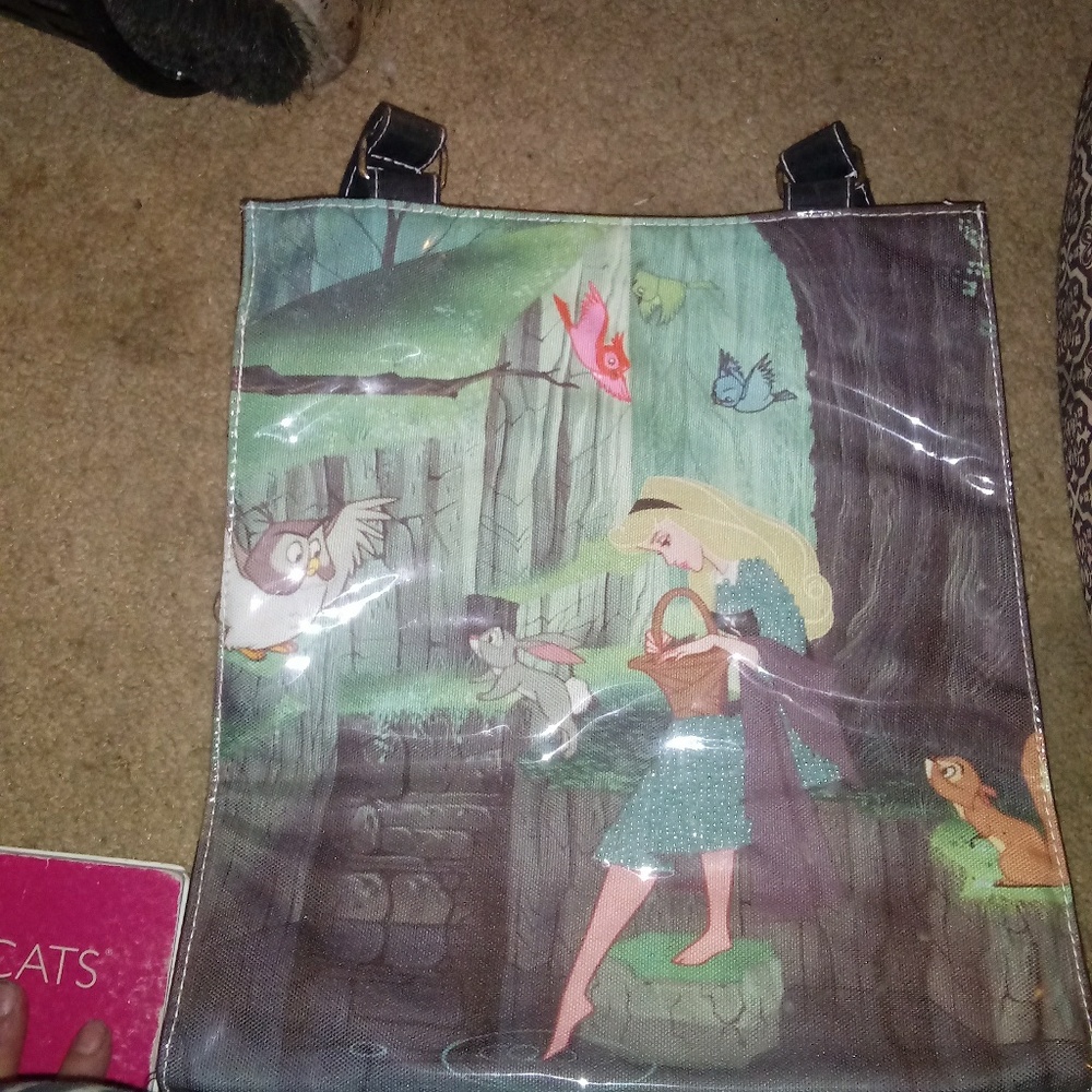 Disney's sleeping beauty bag